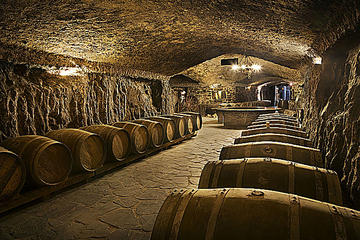 Wine cellar visit with tasting and lunch