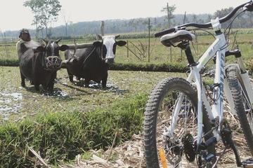 Malang Cycling & Village Tour