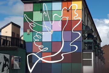 Derry City Private Guided Walking Tour Bloody Sunday and Bogside murals