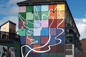Derry City Private Walking Tour Bloody Sunday and Bogside murals