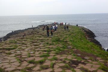 Giants Causeway tour