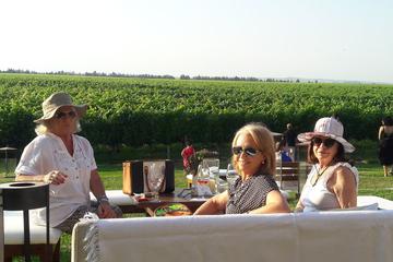 First Sunset of the Year Wine Tour