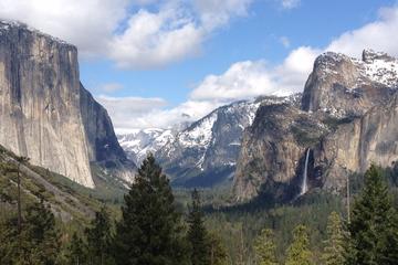 Private Tour to Yosemite National Park from San Francisco