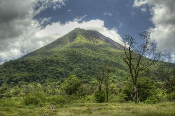 Arenal Volcano and Baldi  Hot Springs Day Trip from San Jose
