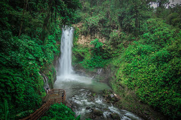 La Paz Waterfall Gardens Walking Tour From San José