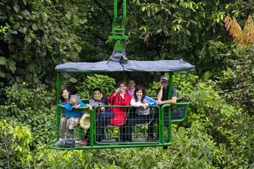 Rainforest Adventure Atlantic Aerial Tram Tour