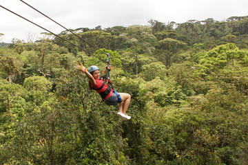 Rainforest Adventure Combo Tour from San Jose