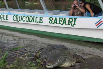 Rainforest Aerial Tram and Crocodile Day Tour from San José