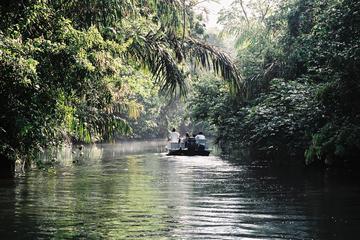 Tortuguero National Park 3-Day Tour from San Jose