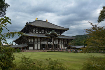Private Kyoto and Nara Tour with a Professional Photographer