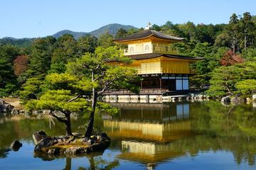 Private Kyoto Tour with a Professional Photographer