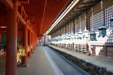 Private Tour: Nara Photoshoot and Sightseeing with Photographer Guide