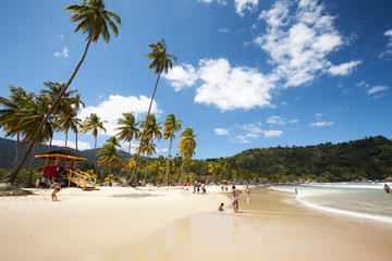 Maracus Beach Tour in Trinidad