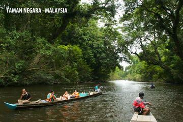 DAY TRIP TO TAMAN NEGARA (NATIONAL PARK OF MALAYSIA)