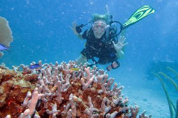 2-Tank Discover Scuba Diving in Fajardo