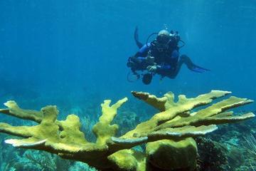 2 tank dive for certified diver