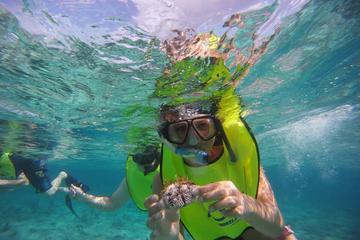 Guided Snorkeling Tour