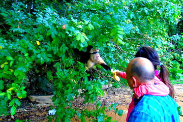 Monkey Island Tour from Panama City
