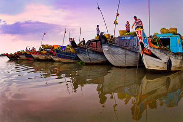 Day Trip Experience in Mekong Delta