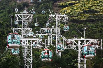 Ocean Park Hong Kong General Admission with Hotel Pickup