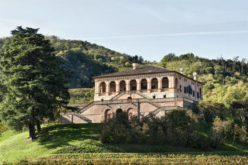 Villa dei Vescovi Entrance Ticket