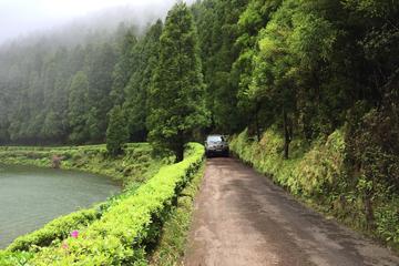 Seize your day in São Miguel with a 4WD private tour