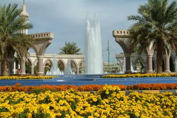 Abu Dhabi Al Ain Full-Day Tour