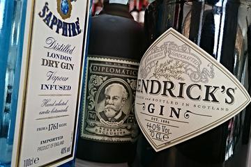 Private 3-Hour Gin Tasting in Idstein