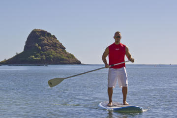 Paddleboard rental