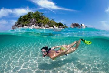 Catalina Island tour and Scuba Diving Full Day
