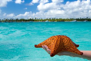 Day Trip to Tropical Saona Island
