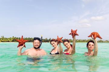 Private Saona Island Full Day Tour