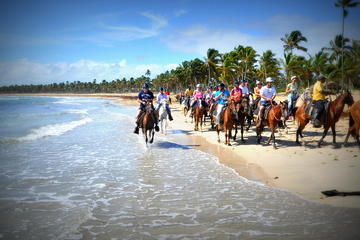 Small-Group Half-Day Horseback Riding Tour from Punta Cana