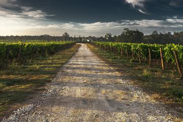 Private Scenic Photography Tour Niagara Falls and Niagara-on-the-Lake