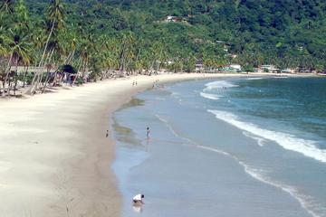 Maracas Bay Tour