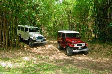 Trinidad Jeep Adventure