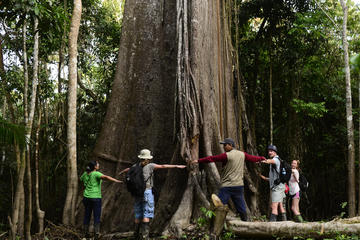 3-Day All Inclusive Pacaya Samiria Reserve from Iquitos