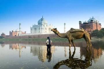 2-Day Delhi and Agra Excursion with Taj Mahal Sunrise Tour