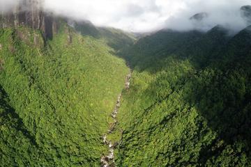 Daintree Rainforest and Great Barrier Reef Scenic Helicopter Flight from Cairns