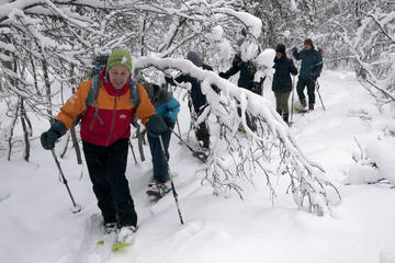 Guided Snowshoe Walk on Tromsoya Island in Tromso