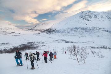 Snowshoe Hike on the Whale Island in Tromso