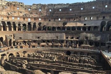 Colosseum with Gladiator Entrance small group tour