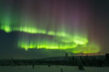 Northern Lights Picnic by Car from Rovaniemi