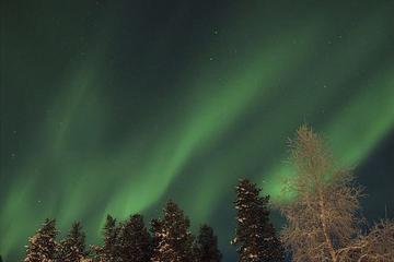 Private Northern Lights Snowmobile Safari from Rovaniemi