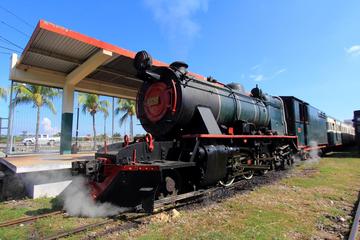 North Borneo Steam Train with Tiffin Lunch from Kota Kinabalu