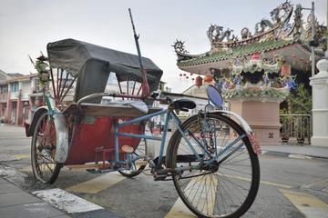Penang Highlights by Trishaw from George Town