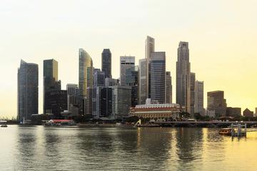 Shore Excursion: Private Singapore City Highlights Tour