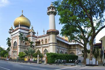 Shore Excursion: Private Singapore Melting Pot Discovery Tour