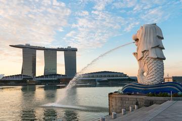 Shore Excursion: Private Singapore Walking Tour with River Cruise