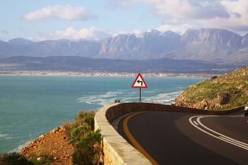 Cape Peninsula tour